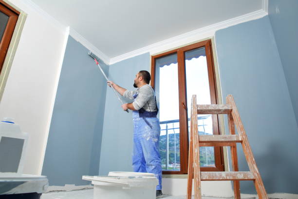 Collings Lakes, NJ Mold Removal Company