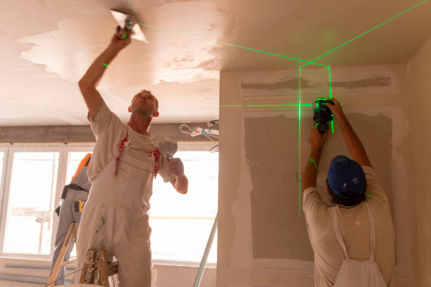 Best Mold Remediation for Vacation Homes  in Collings Lakes, NJ
